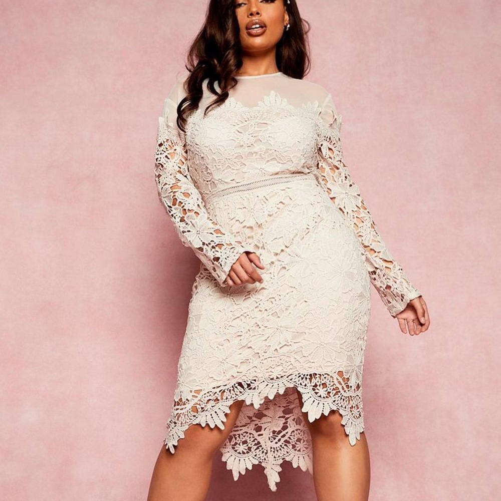 BOOHOO Plus Occasion Midi Embroidered Floral Dress